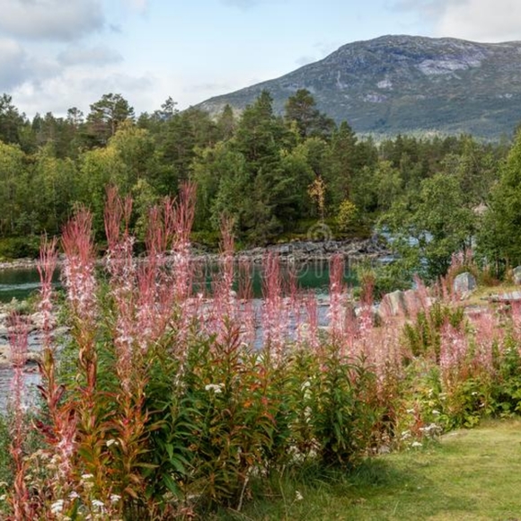 Meet your Posher, Sand Sparkle - Picture 4 of 4